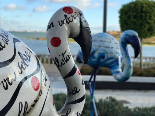 flamencos bahia sur 4 flamencos bahia sur 4